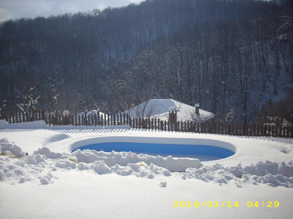 House Maya Tryavna Exterior foto